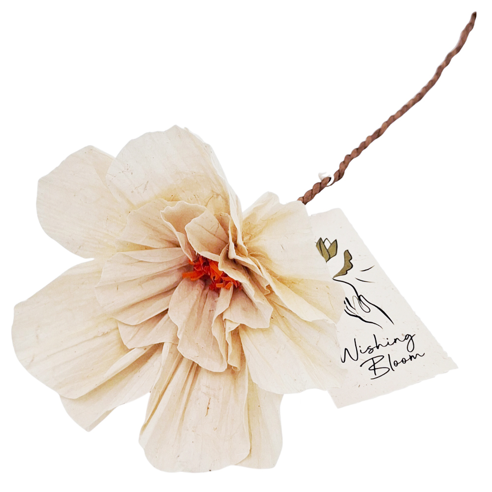 Wishing Bloom 'Anemone' - Afbeelding 3
