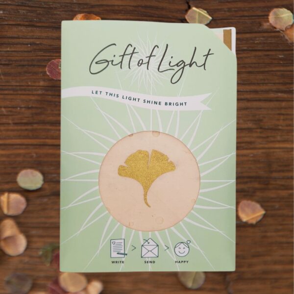 Gift of Light Ginkgo