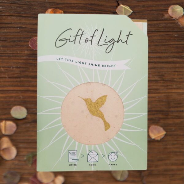 Gift of Light Hummingbird (Kolibrie)