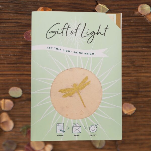 Gift of Light Dragonfly (Libelle)
