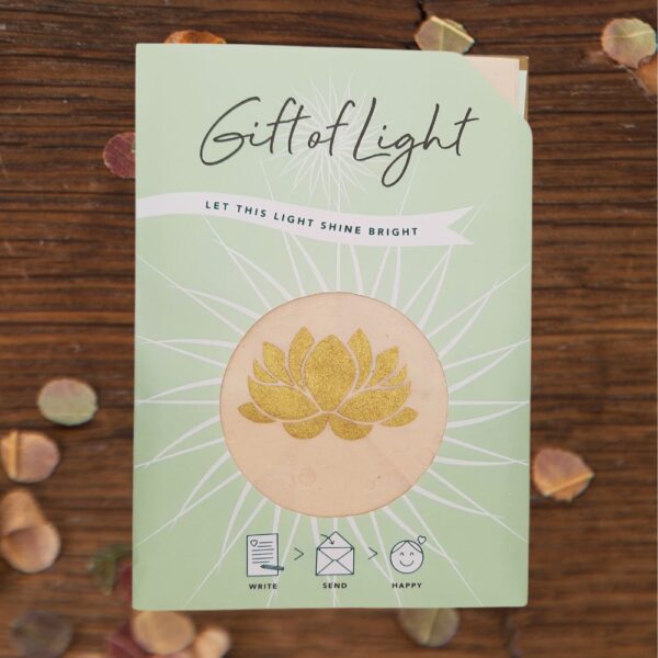 Gift of Light Lotus