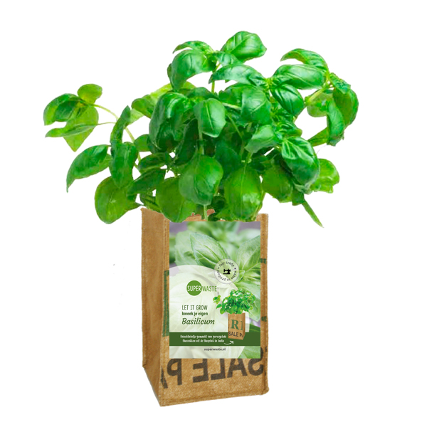 Let it grow kweektuin - Basilicum