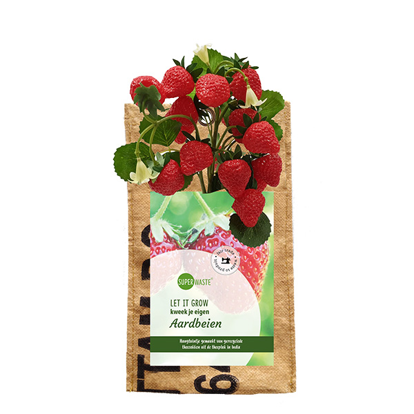 Hangtuintje let it grow - Aardbeien