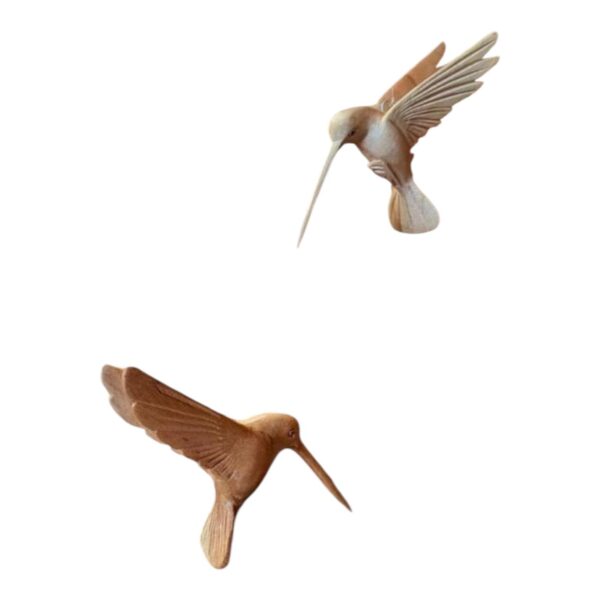 Flying kolibri