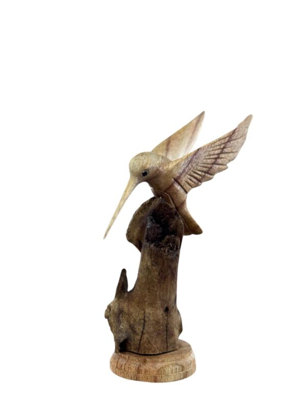 Kolibrie op Rootwood – 15–20 cm