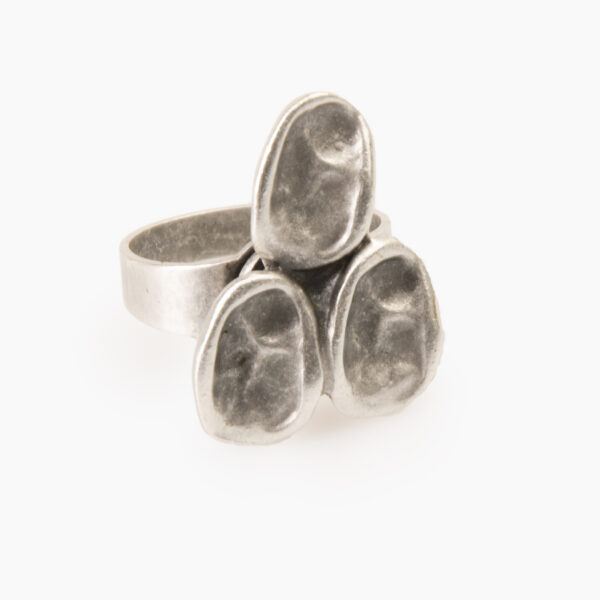 ring 8173