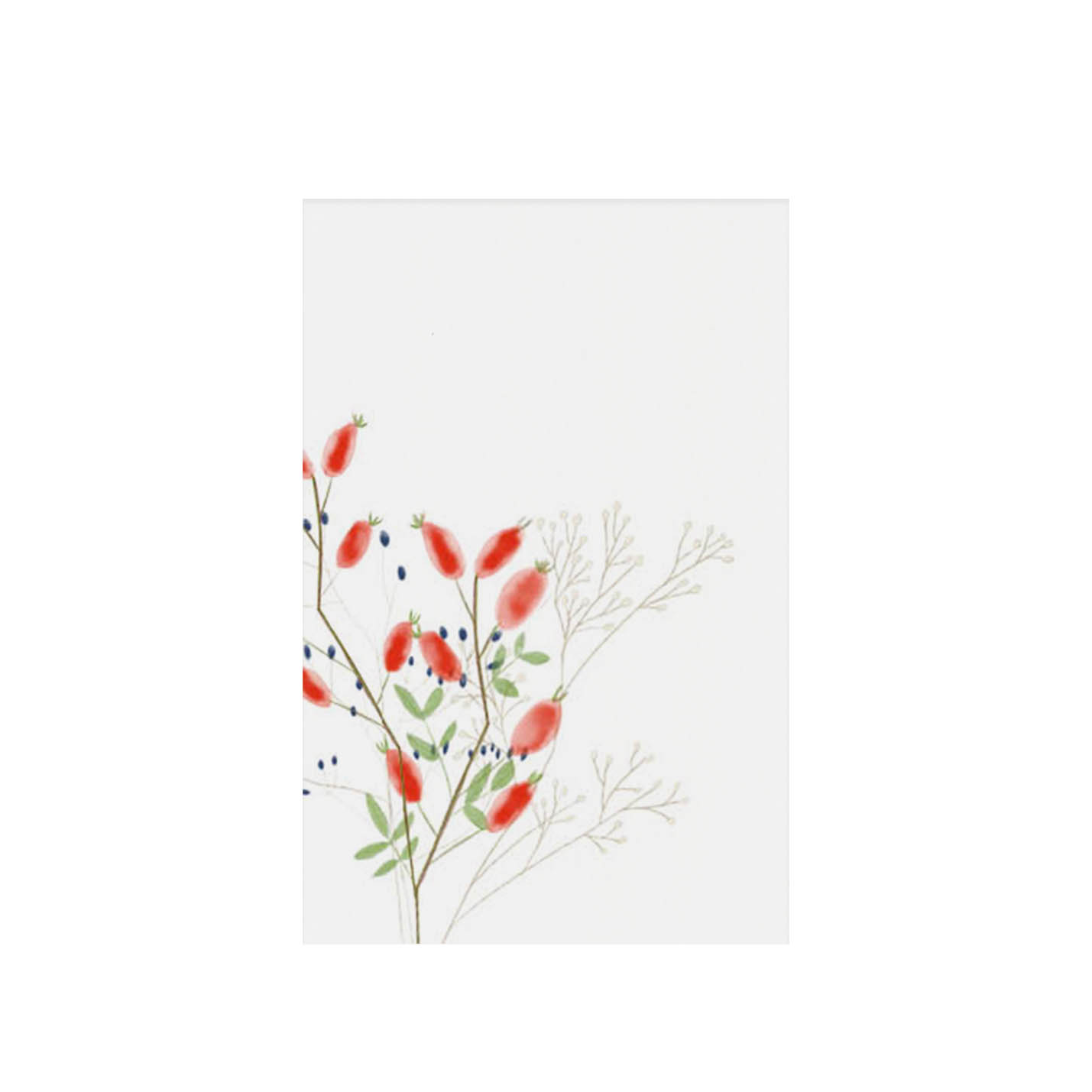 Bloemenkaartjes – Rozenbottel | set van 10