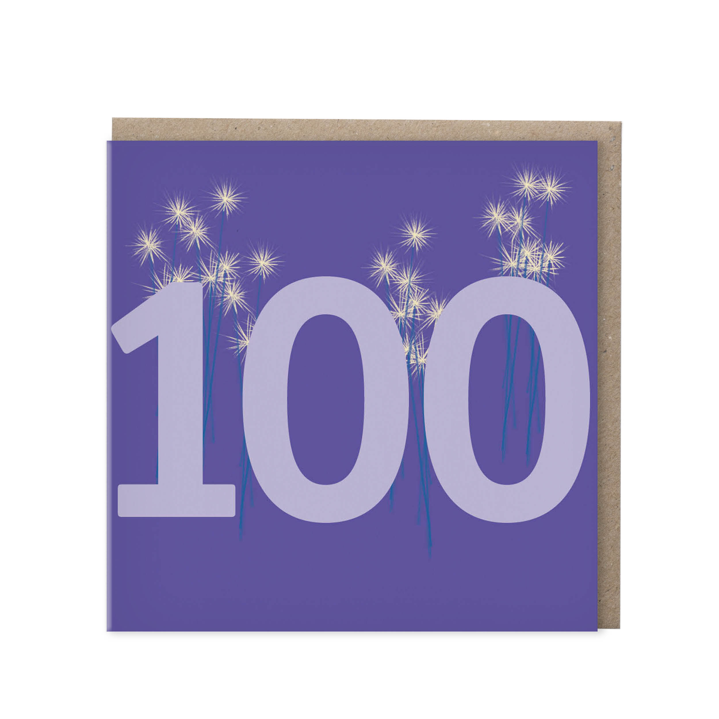 Leeftijdskaart 100 jaar – paars | set van 5