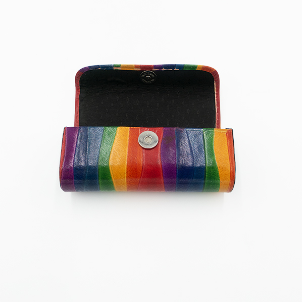 Leren brillenkoker, regenboog