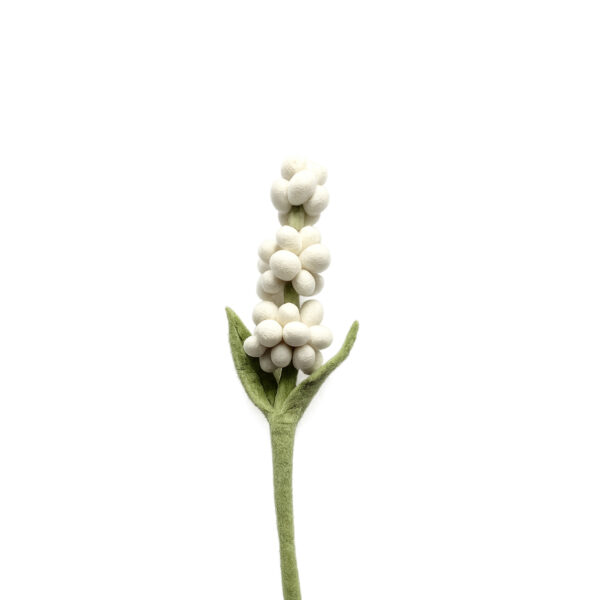 Hyacint wit