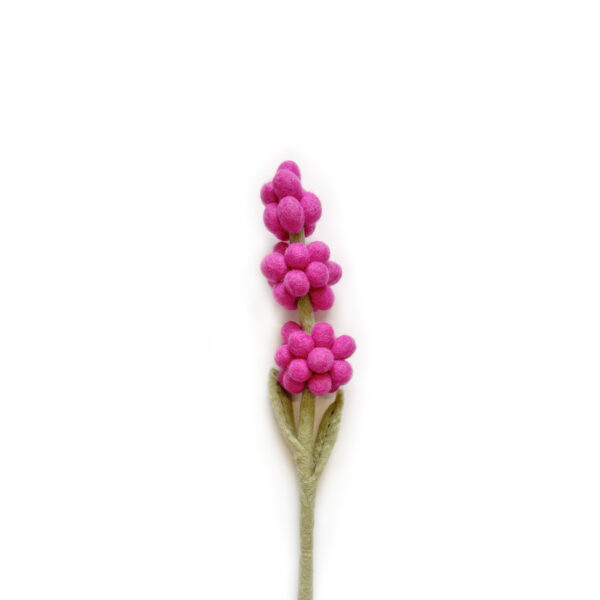 Hyacint roze