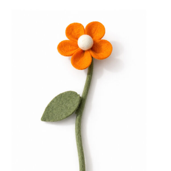 Margriet oranje