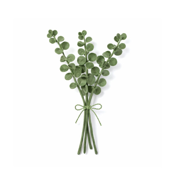 Eucalyptus tak