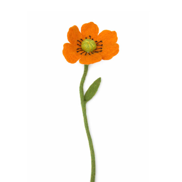 Klaproos oranje
