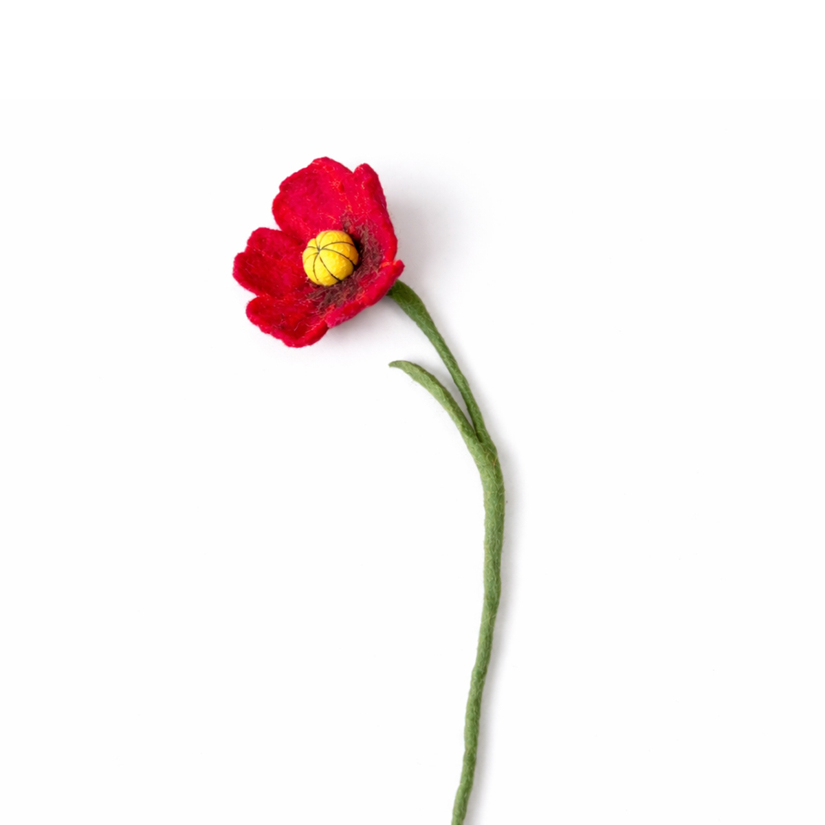 Klaproos rood